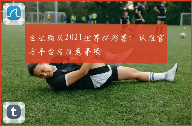 合法购买2021世界杯彩票:认准官方平台与注意事项