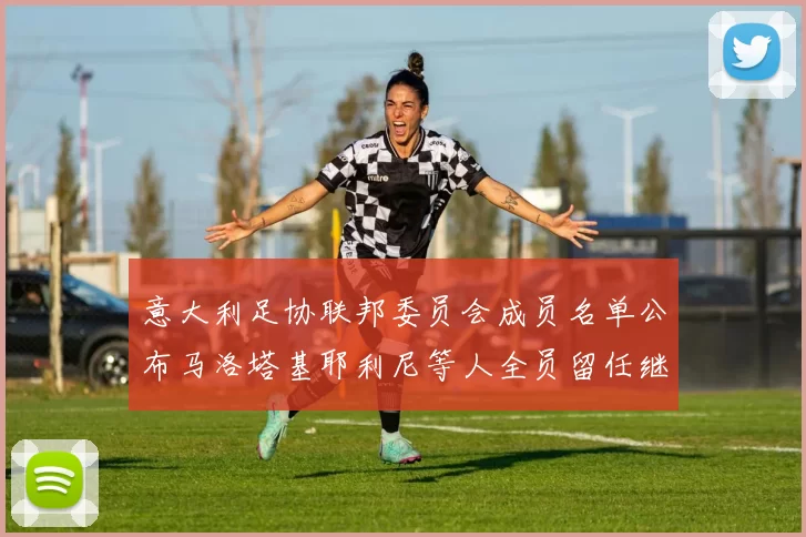意大利足协联邦委员会成员名单公布马洛塔基耶利尼等人全员留任继续服务