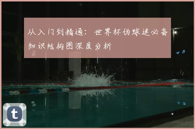 从入门到精通:世界杯伪球迷必备知识结构图深度分析