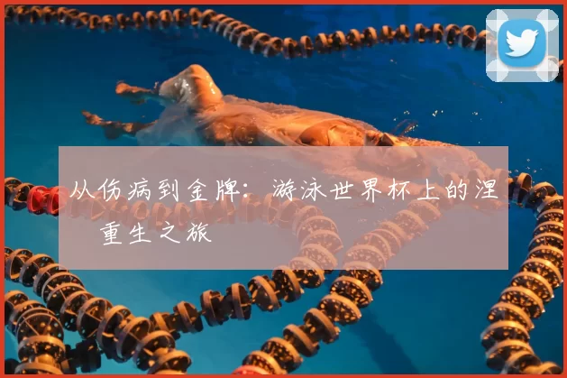 从伤病到金牌：游泳世界杯上的涅槃重生之旅