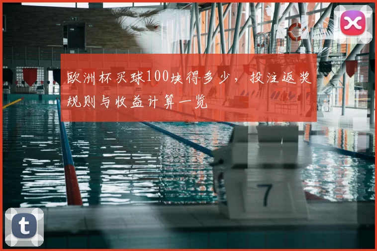 欧洲杯买球100块得多少,投注返奖规则与收益计算一览
