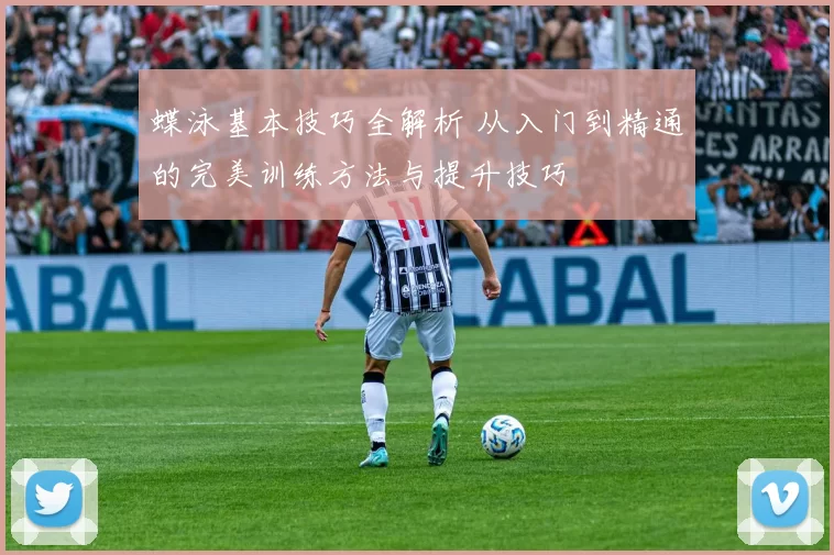 蝶泳基本技巧全解析 从入门到精通的完美训练方法与提升技巧