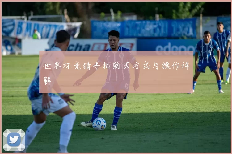 世界杯竞猜手机购买方式与操作详解
