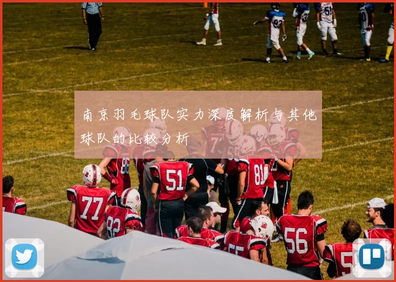 南京羽毛球队实力深度解析与其他球队的比较分析