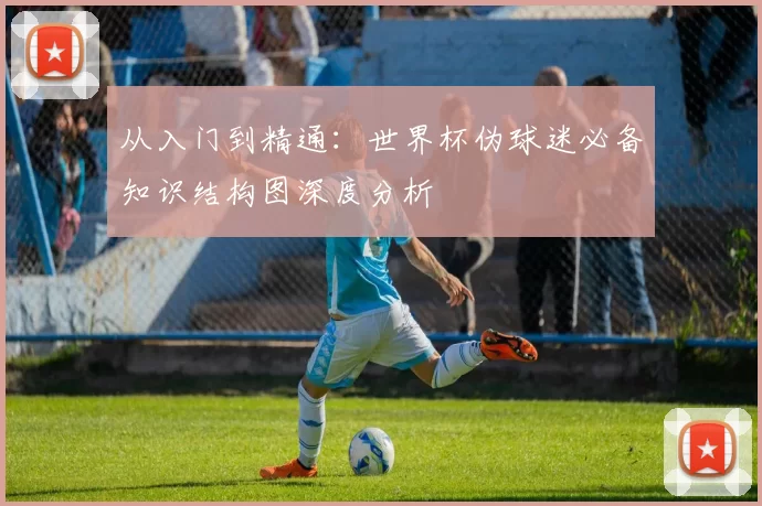 从入门到精通：世界杯伪球迷必备知识结构图深度分析