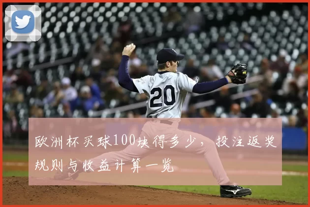 欧洲杯买球100块得多少,投注返奖规则与收益计算一览