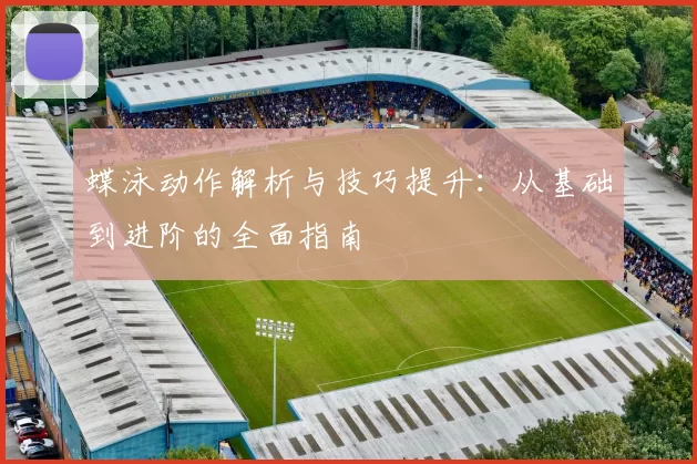 蝶泳动作解析与技巧提升：从基础到进阶的全面指南