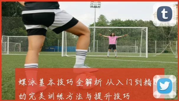 蝶泳基本技巧全解析 从入门到精通的完美训练方法与提升技巧