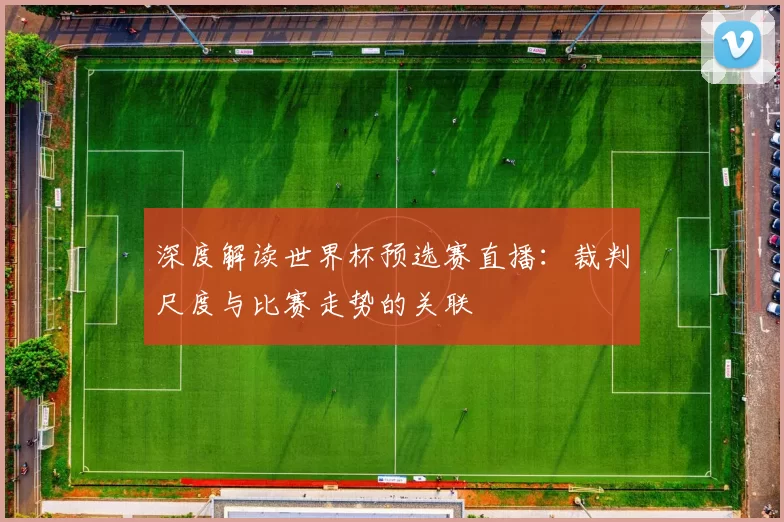 深度解读世界杯预选赛直播:裁判尺度与比赛走势的关联