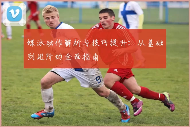 蝶泳动作解析与技巧提升：从基础到进阶的全面指南