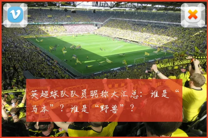 英超球队队员昵称大汇总：谁是“马本”？谁是“野兽”？