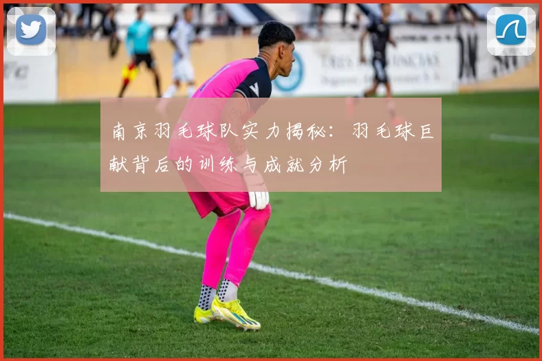 南京羽毛球队实力揭秘:羽毛球巨献背后的训练与成就分析