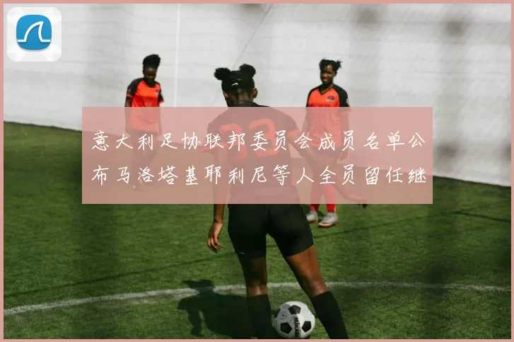 意大利足协联邦委员会成员名单公布马洛塔基耶利尼等人全员留任继续服务