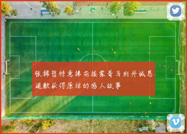 张稀哲特意捧花接蒙哥马利并诚恳道歉获得原谅的感人故事
