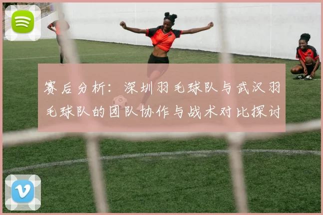 赛后分析：深圳羽毛球队与武汉羽毛球队的团队协作与战术对比探讨